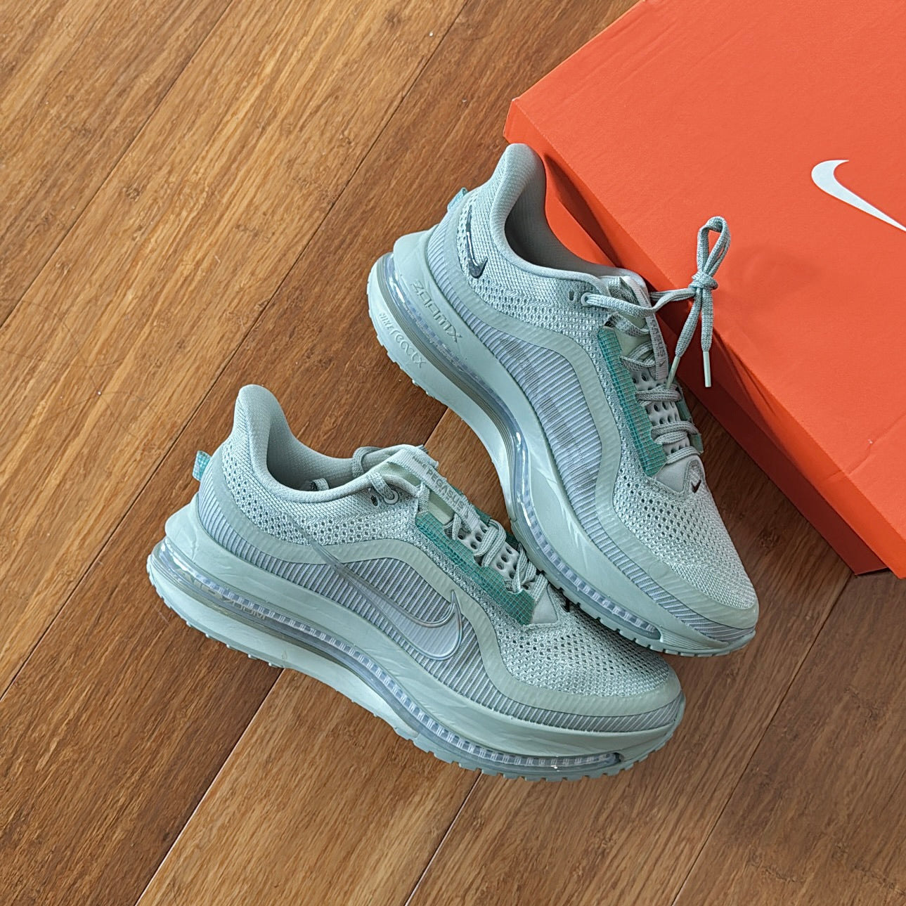 Nike Pegasus Premium 'Jade Horizon'