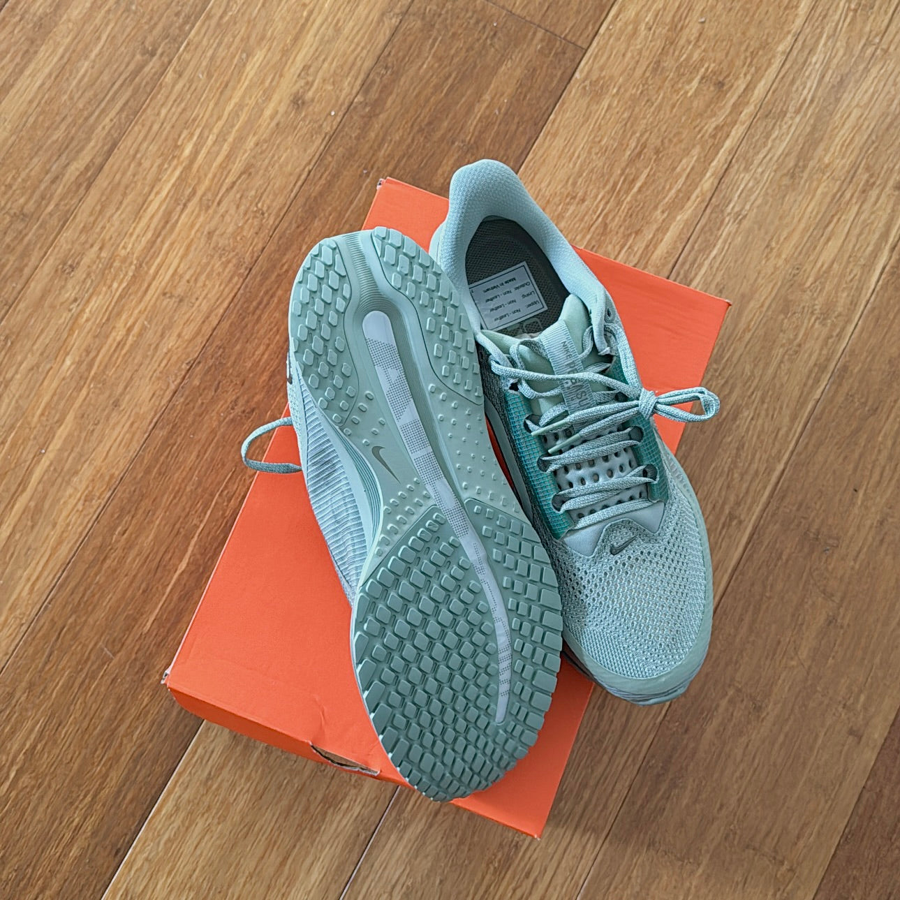 Nike Pegasus Premium 'Jade Horizon'