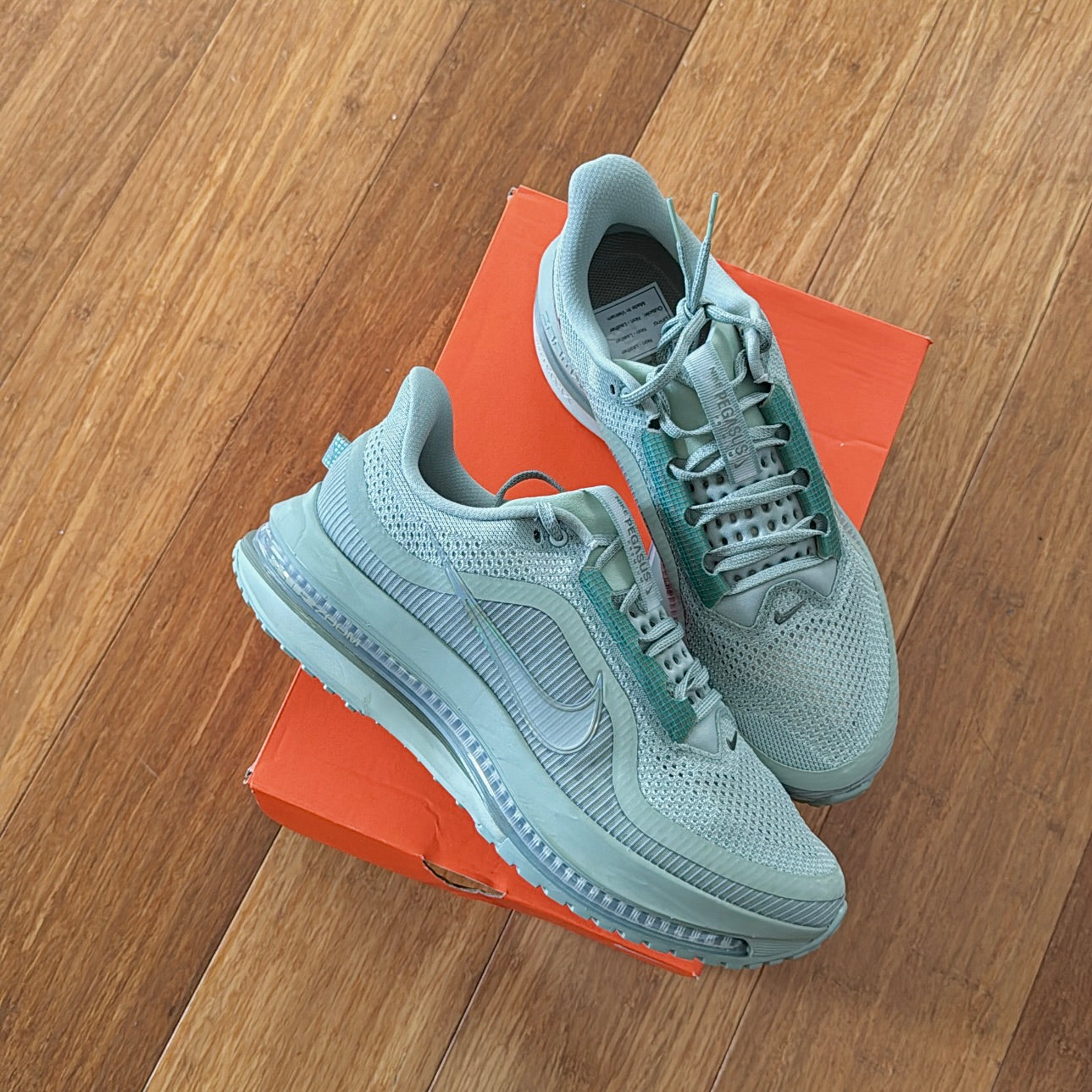 Nike Pegasus Premium 'Jade Horizon'